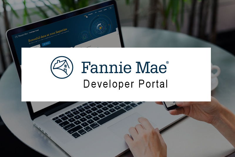 Casestudy - API Dev Portal