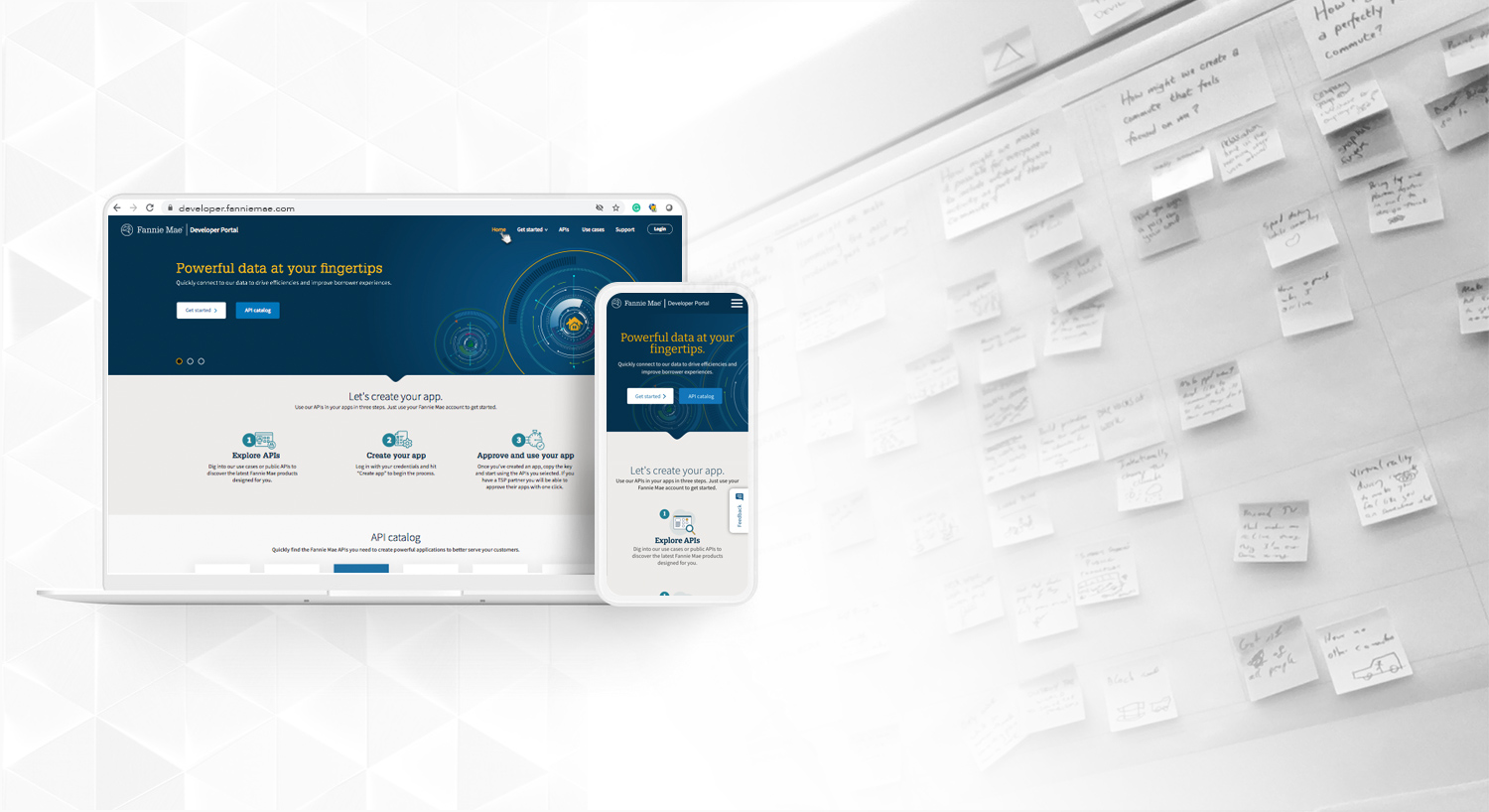 Developer Portal - Case Study
